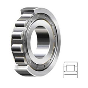 NU 316 ECJ SKF Cylindrical Bearing, 80mm Bore 170mm OD 39 WID RBEC 1