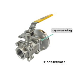 210-CS-1-FFF-L-025 Flo-Tite 1
