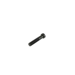 CR1120-A Mycom Screw, Discharge Valve Seat A. Image - 1
