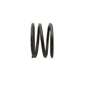 CS0830-E Indicator Cam Spring - image 1