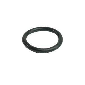 O-ring Regal Chlorinator (7124) S-405