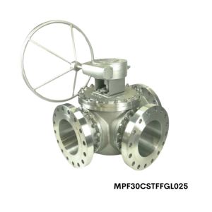 MPF30-CS-T-FFG-L-025 Flo-Tite 1