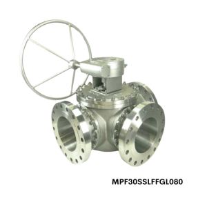 MPF30-SS-L-FFG-L-080 Flo-Tite 3