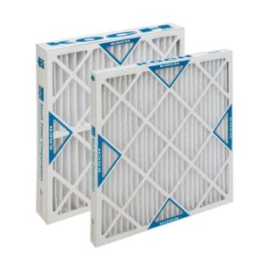 P8S1-1000-1199-2 Koch Double Filter Standard Capacity MERV 8 24.625