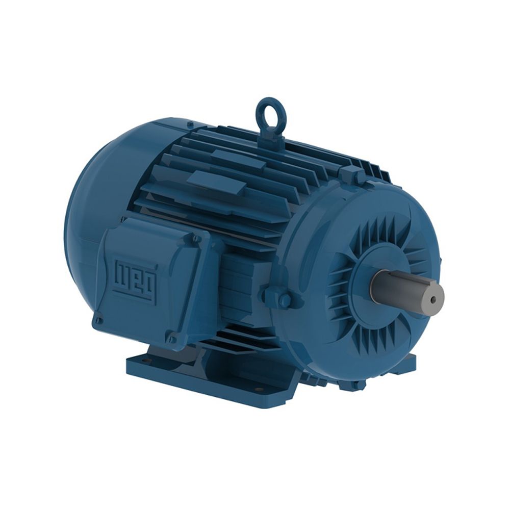 00309ET3E215T-W22 WEG MOTOR 3HP 8P 213/5T WFF2