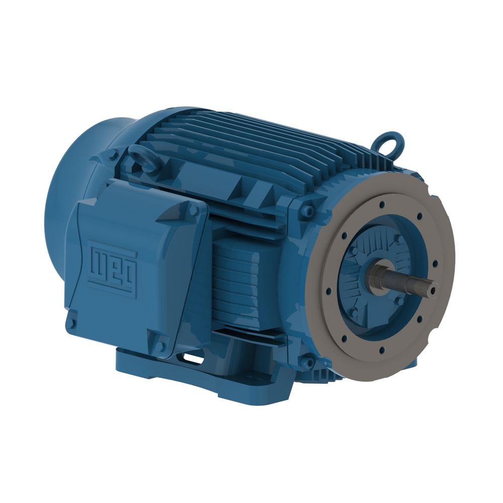 07536ET3E365JM-W22 WEG Motor 75HP 2P 364/5JM WFF2