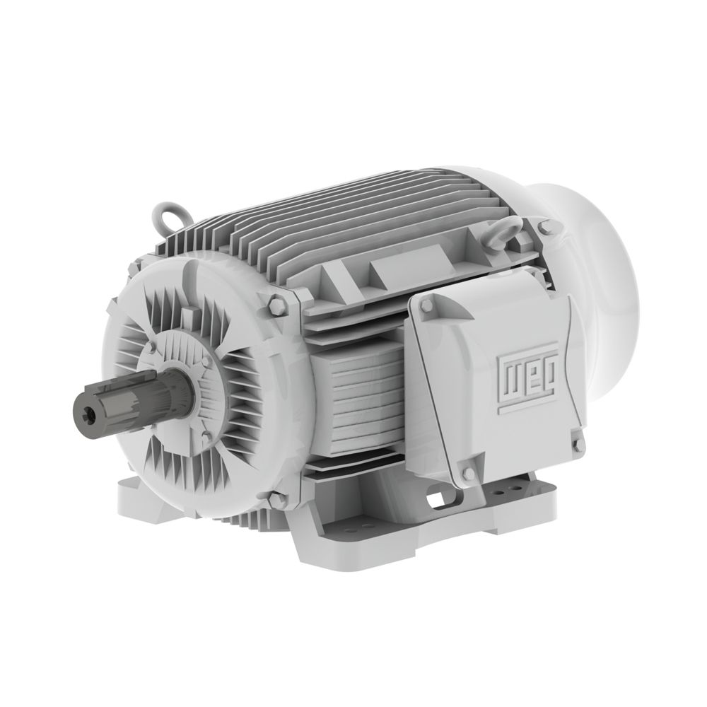 10012ES3EOW445T-W22 WEG Motor 100HP 6P 444/5T WFF2
