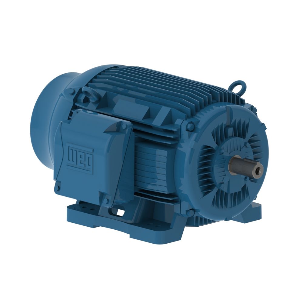10012ET3GRB444T-W22 WEG Motor 100HP 6P 444/5T WFF2