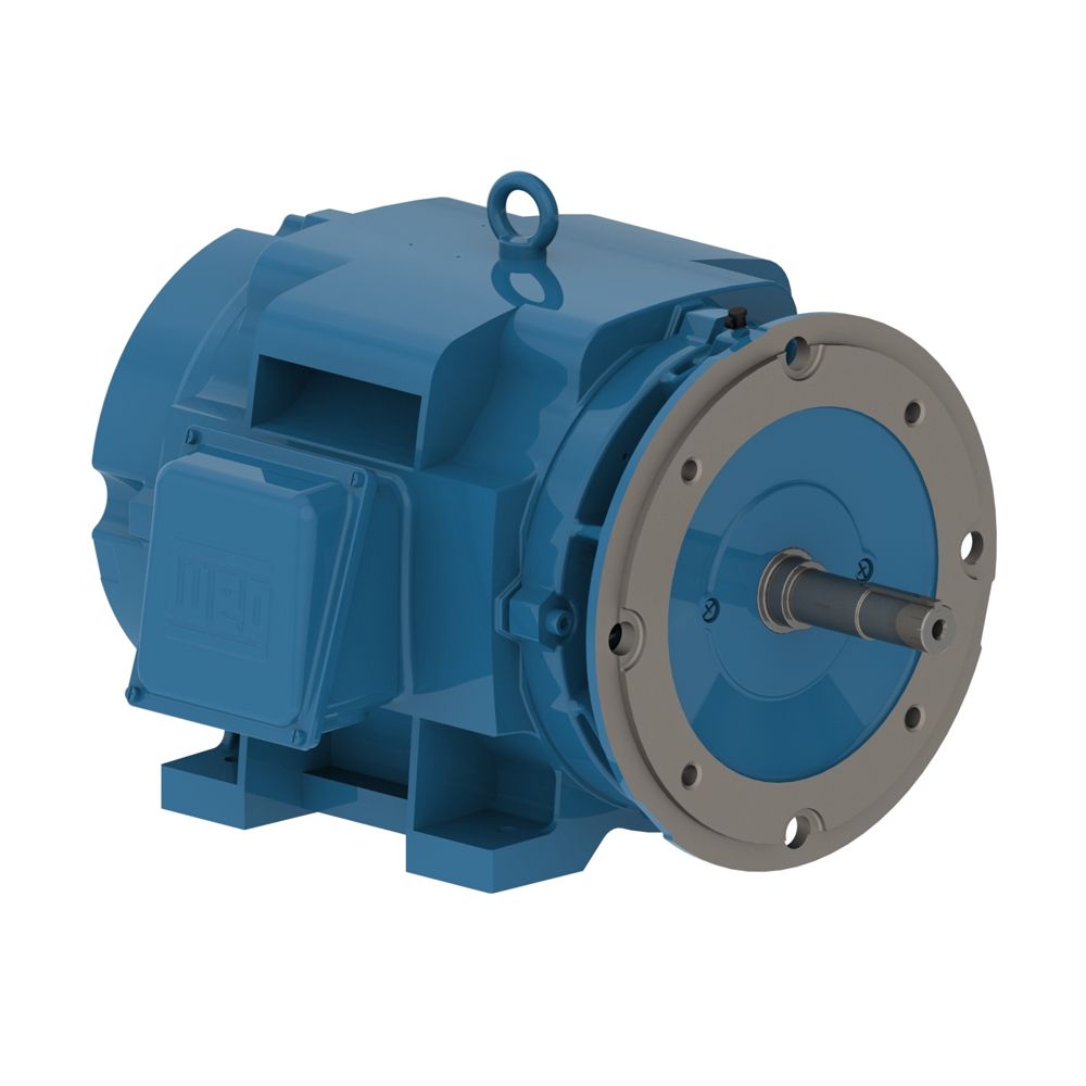 10018OT3E404JM *OBSOLETE* WEG Motors *REPLACED* BY 10018OT3E404JM-W40