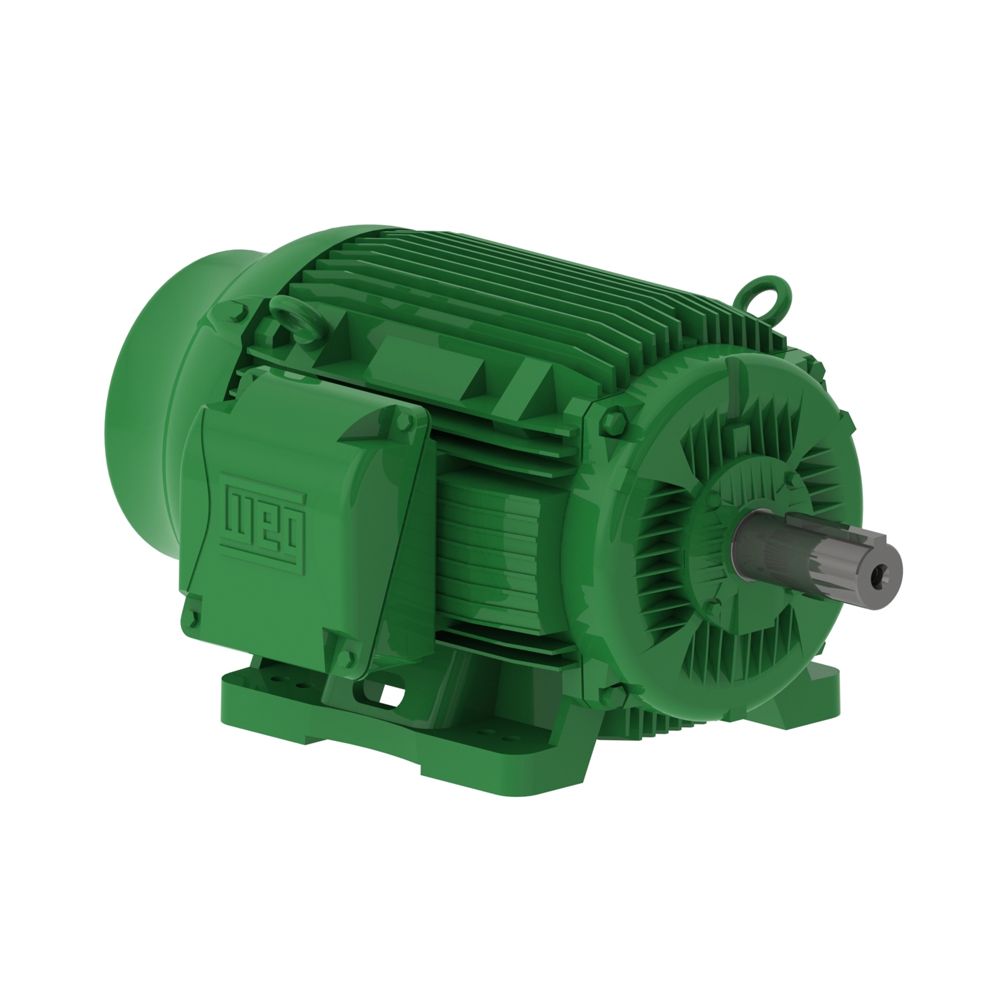 10036EG3E405TS-W22 WEG Motor 100HP 2P 404/5TS WFF2