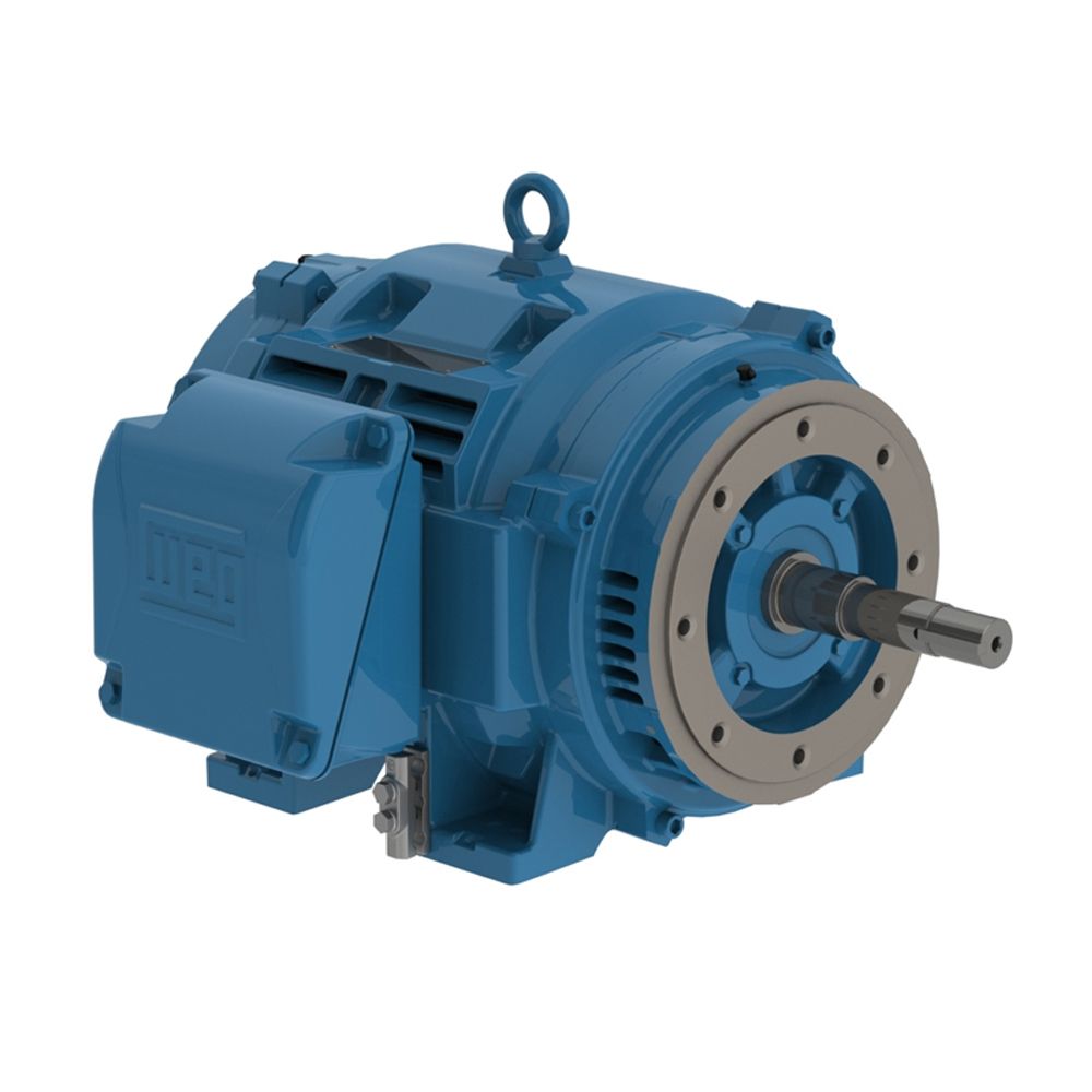 10036OT3G365JP-W40 WEG MOTOR 100HP 2P 364/5JP WFA2