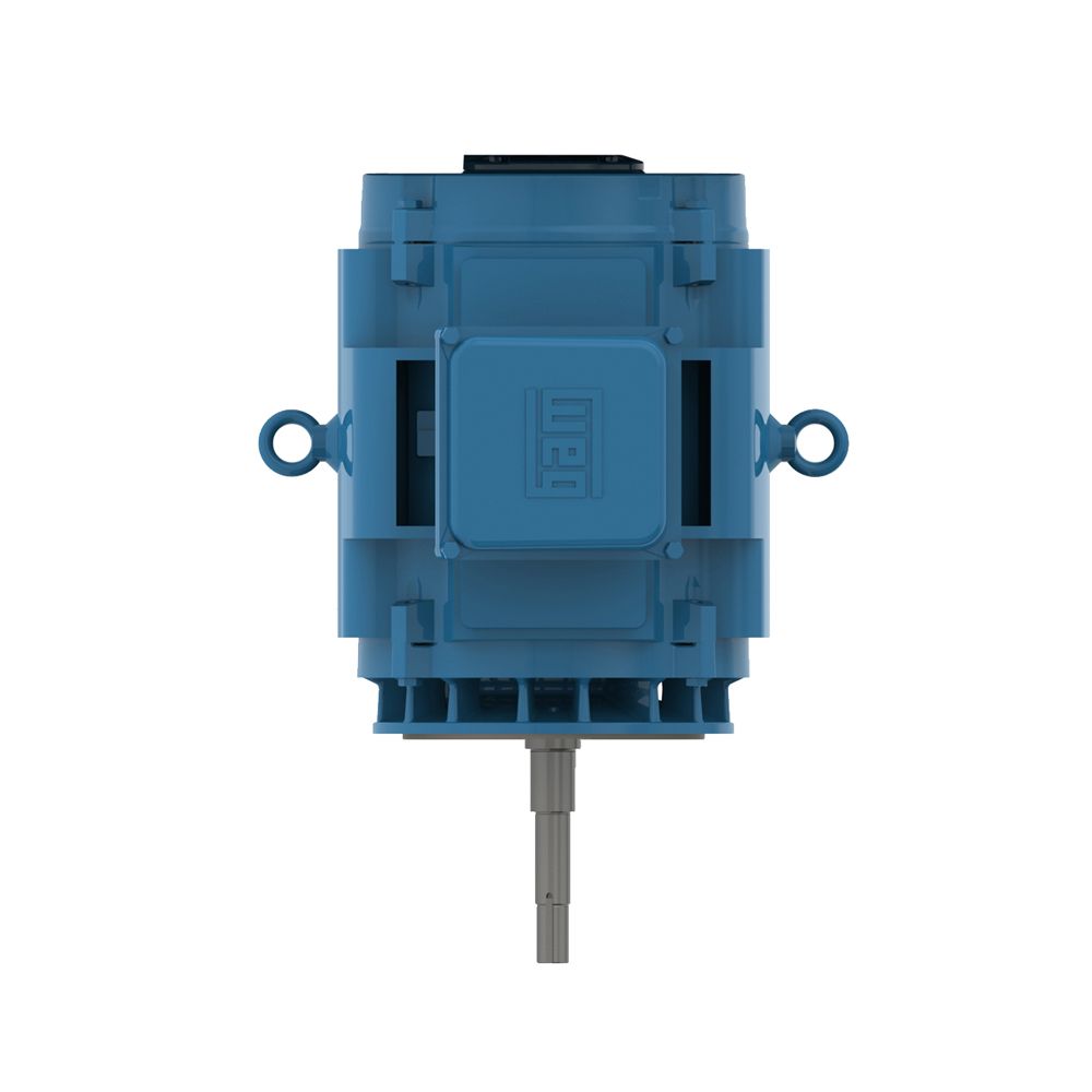 10036OT3H365JPV *OBSOLETE* WEG Motors *REPLACED* BY 10036OT3H365JPV-W40