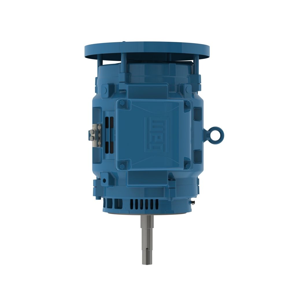 10036OT3V365JPV-W40 WEG MOTOR 100HP 2P 364/5JP WFA2