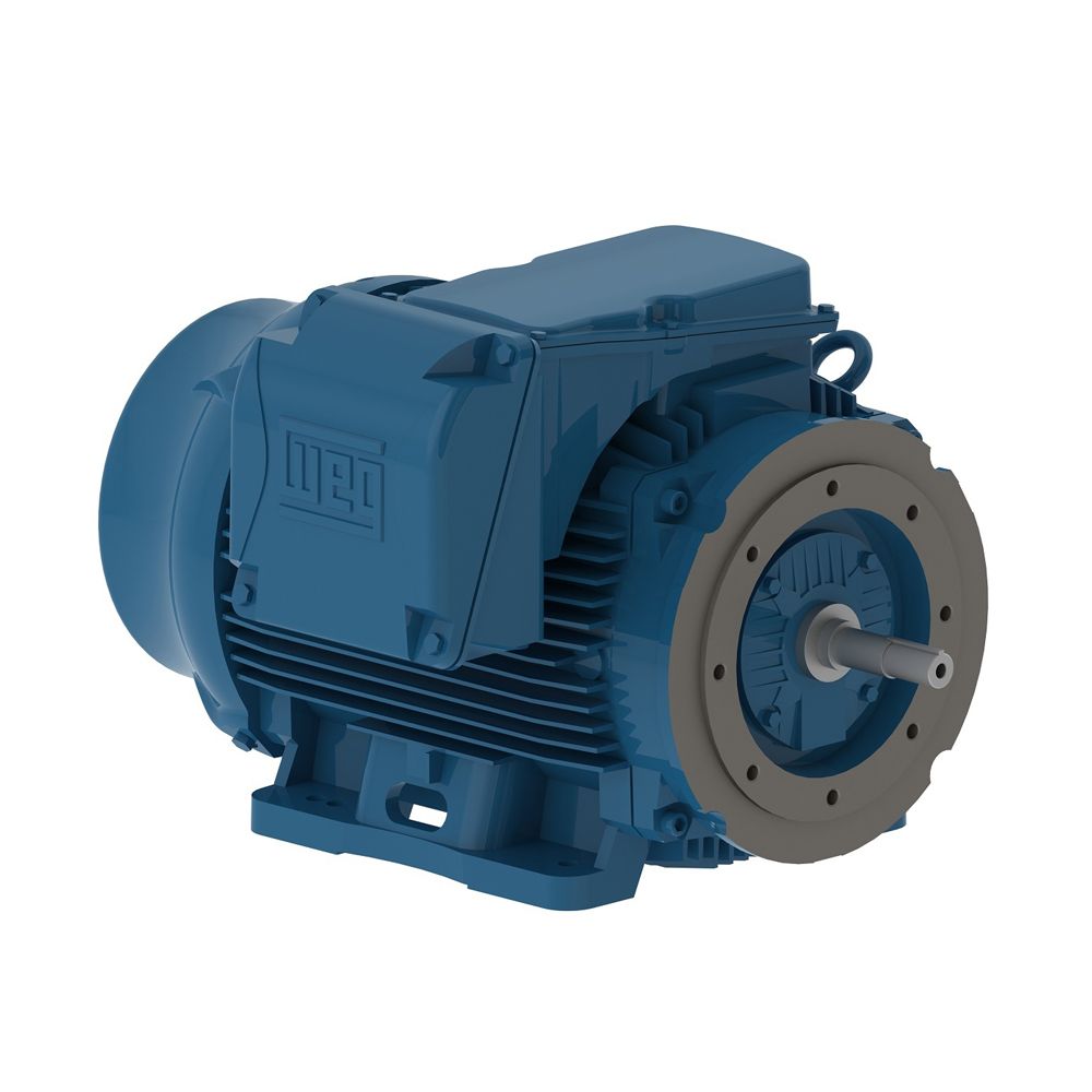12518ET3H444TC-W22 WEG Motor 125HP 4P 444/5TC WFF2