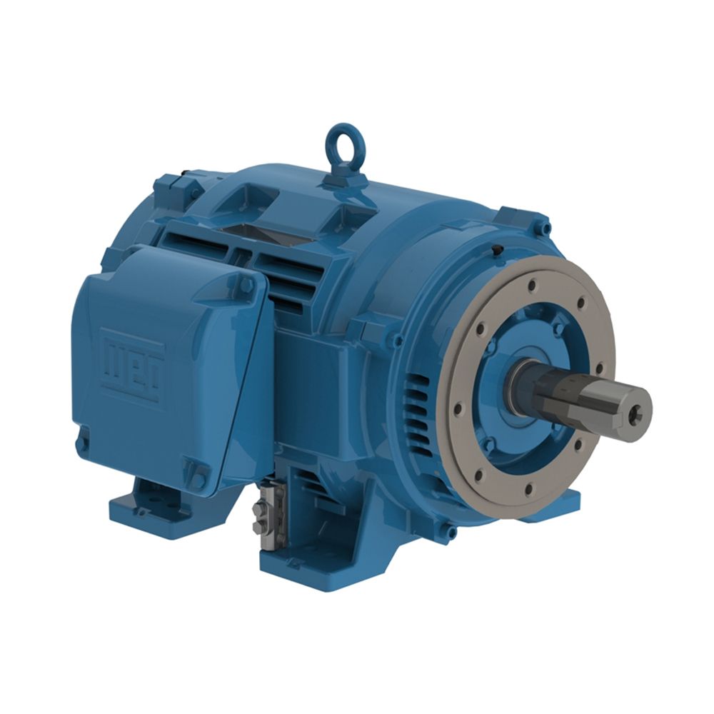 12518OT3H405TC-W40 WEG MOTOR 125HP 4P 404/5TC WFA2