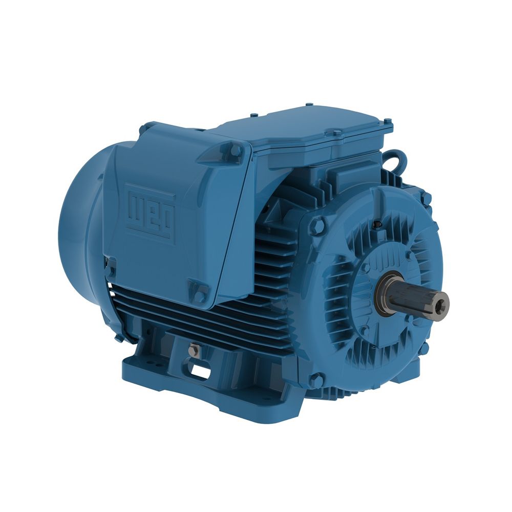 25018ET3GKD449T-W22 WEG Motor 250HP 4P 447/9T WFF2