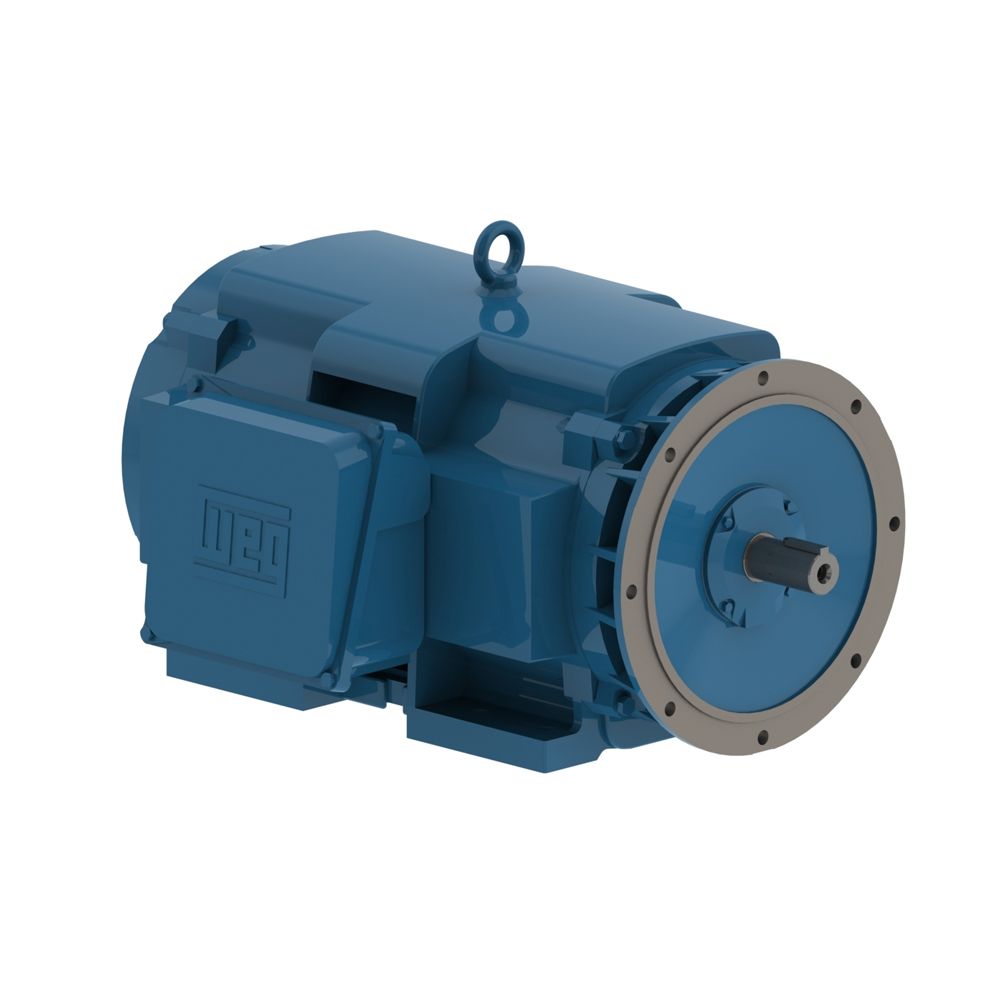 25018OT3G445TSD *OBSOLETE* WEG Motors DISCONTINUED WITHOUT REPLACEMENT