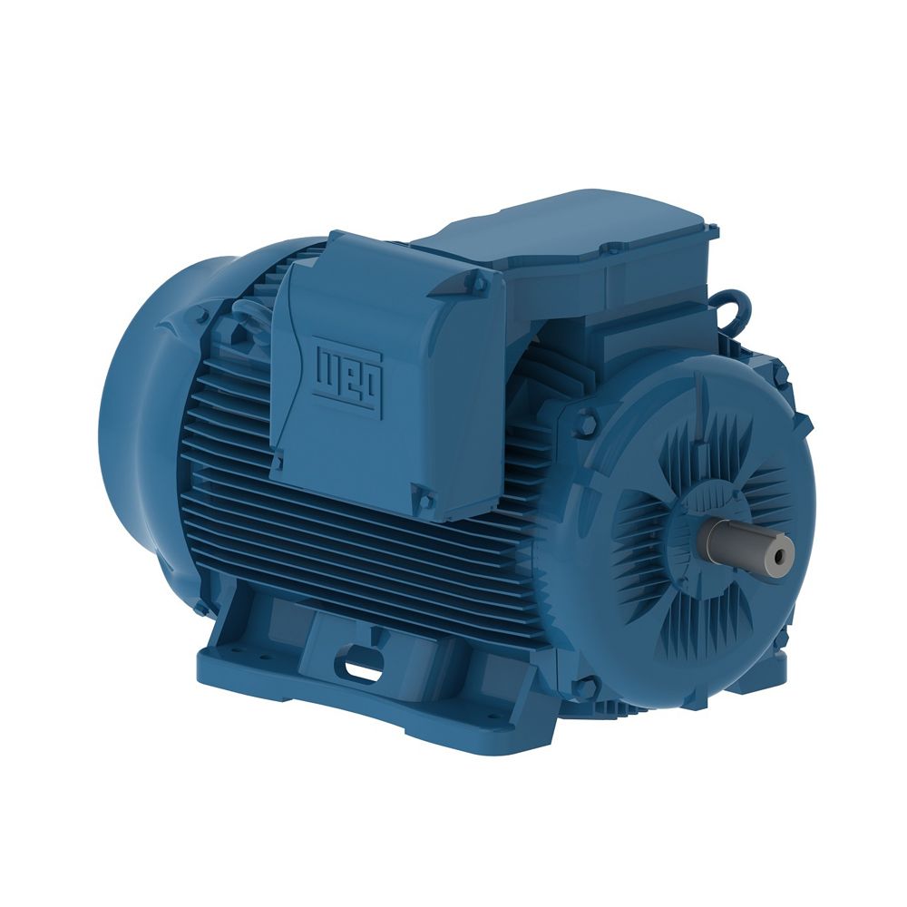 30009EP3GKD586/7-W22 *OBSOLETE* WEG Motors *REPLACED* BY 30009ET3GKD586/7-W22