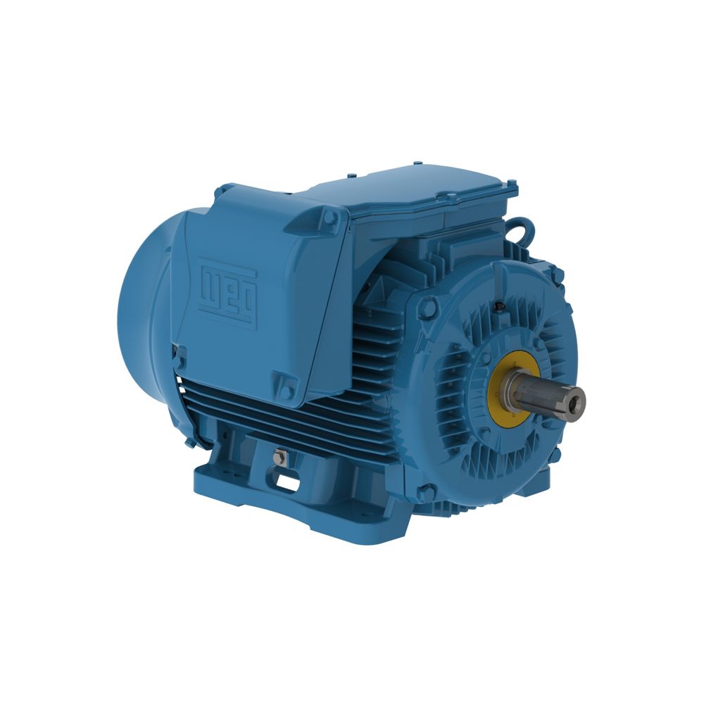 30012ET3GKD586/7-W22 WEG MOTOR 300HP 6P 586/7T WFF2