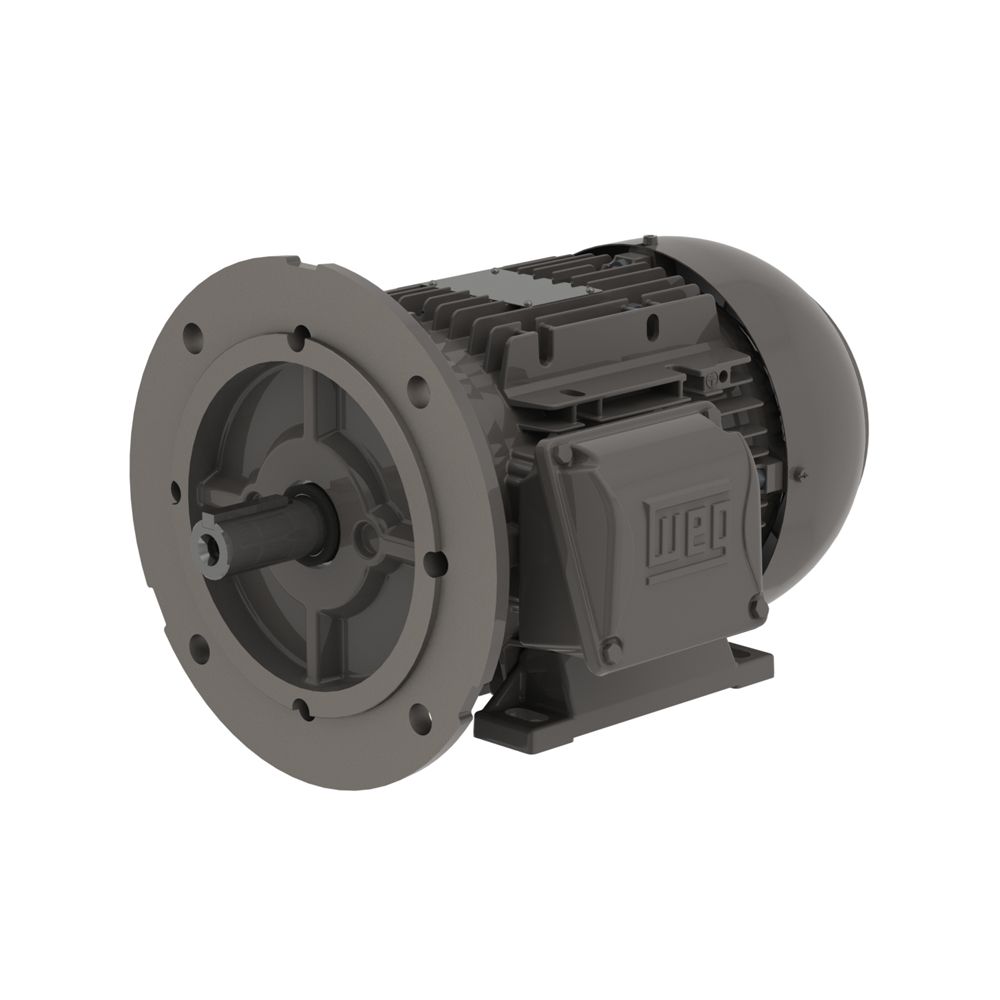 .5536EP3EAL71FF-W22 WEG Motor 0.75HP 2P 71 WAF1