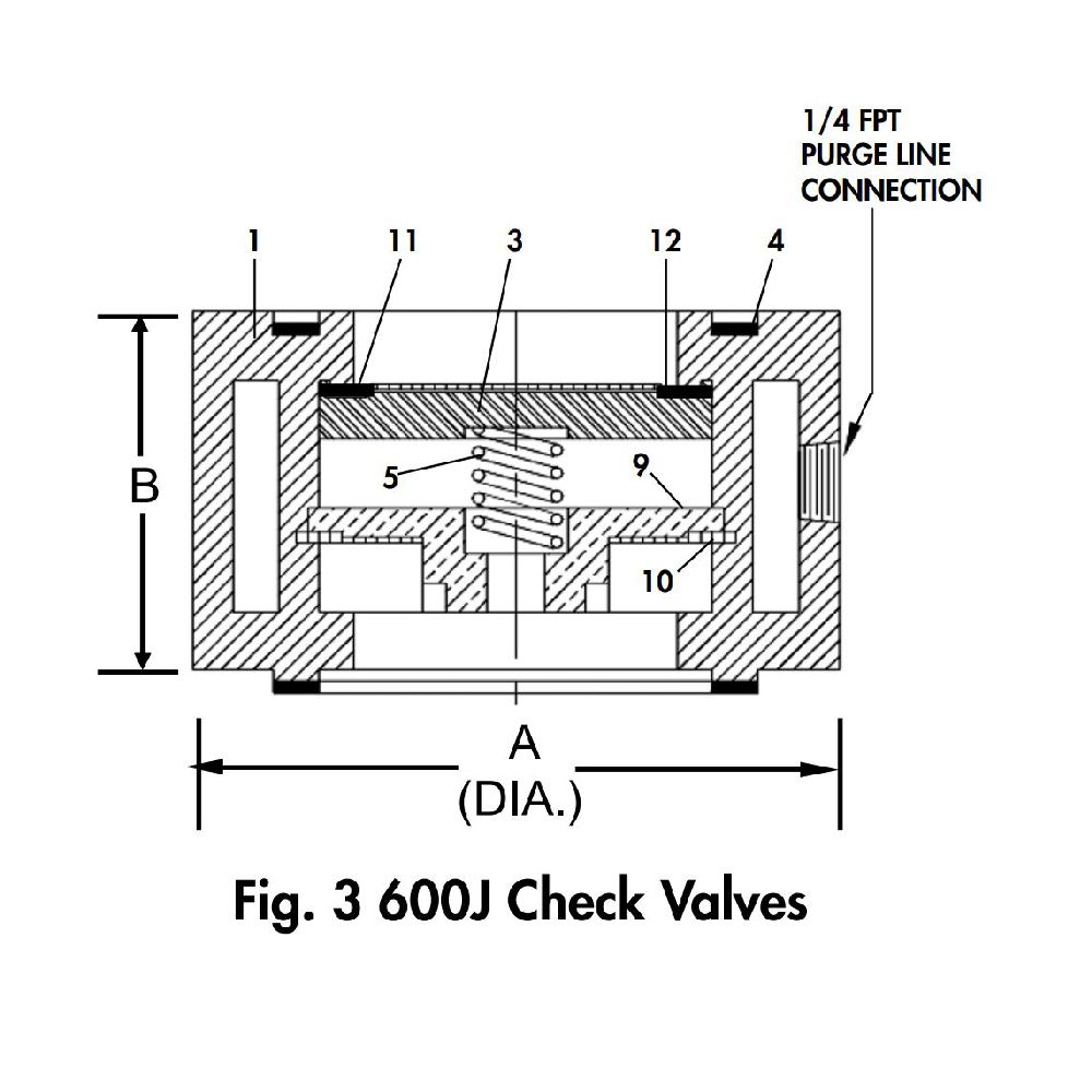 600BJ-ZZ, 3" Check valve, Standard Spring Cast body