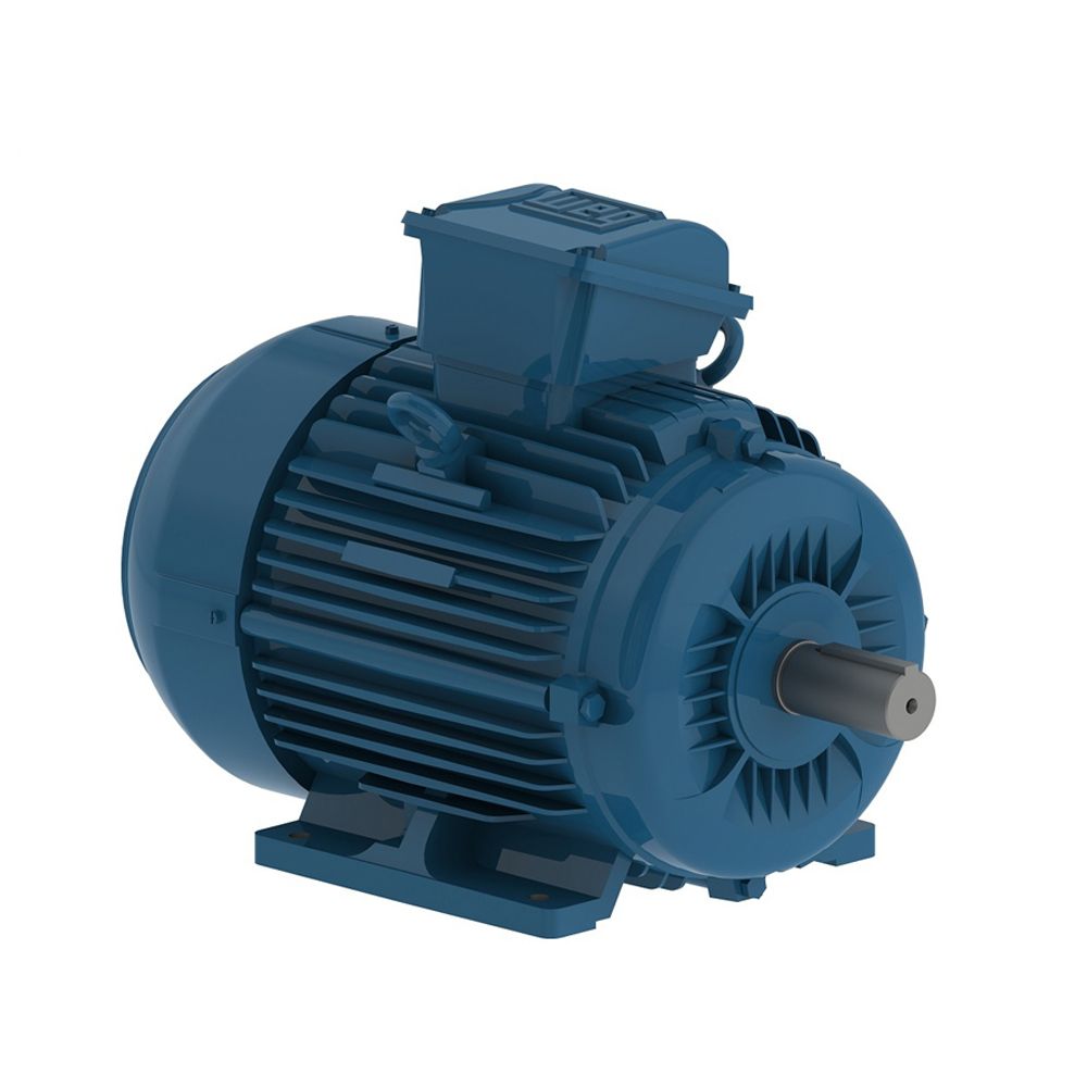 E00218EP3WAX100LF3-W WEG Motor 2.2kW 4P 100L WFF2