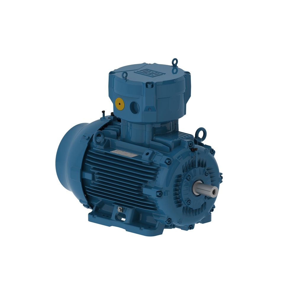 E04518XP3YAX225SMF3W WEG Motor 45kW 4P 225S/M WFX2