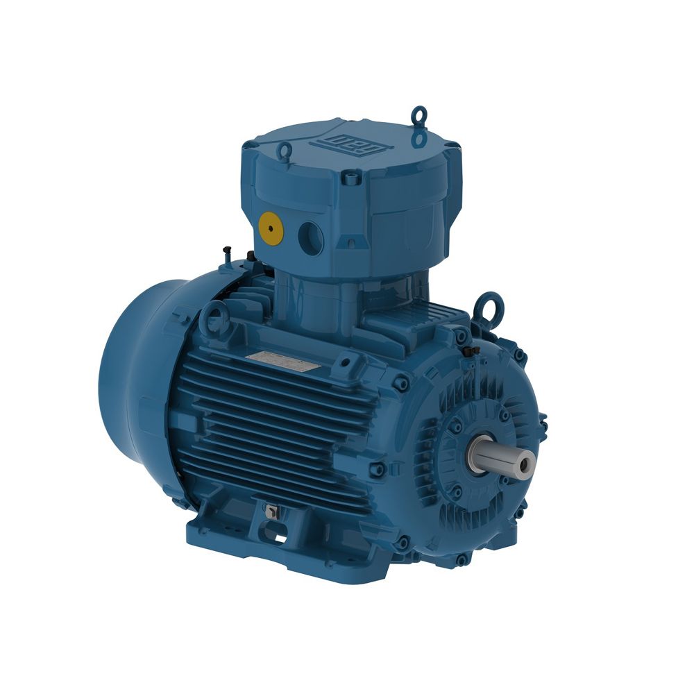 E07512XP3YAX315SMF3W WEG MOTOR 75kW 6P 315S/M WFX2