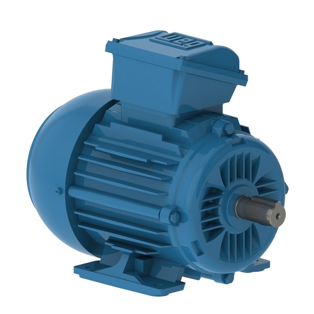 E0.1818EP3WAX63F3-W2 WEG ATEX Exn Motor 0.18kW 4P 63 WFF2