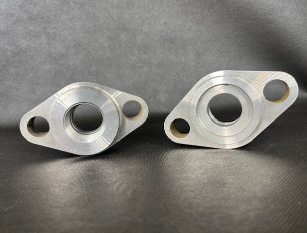 NEAS NEASFKCS-NPT-100-B00 Flange 1" NPT (Large Body)