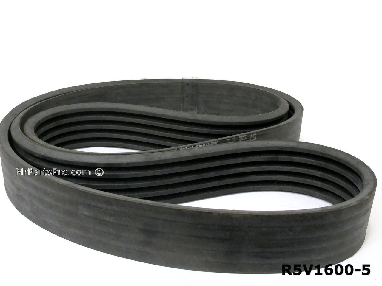 Belt 5 Band Molded, 171.1 Length, 5/8 Width, 7/8 Thickness, 10.25 lb.