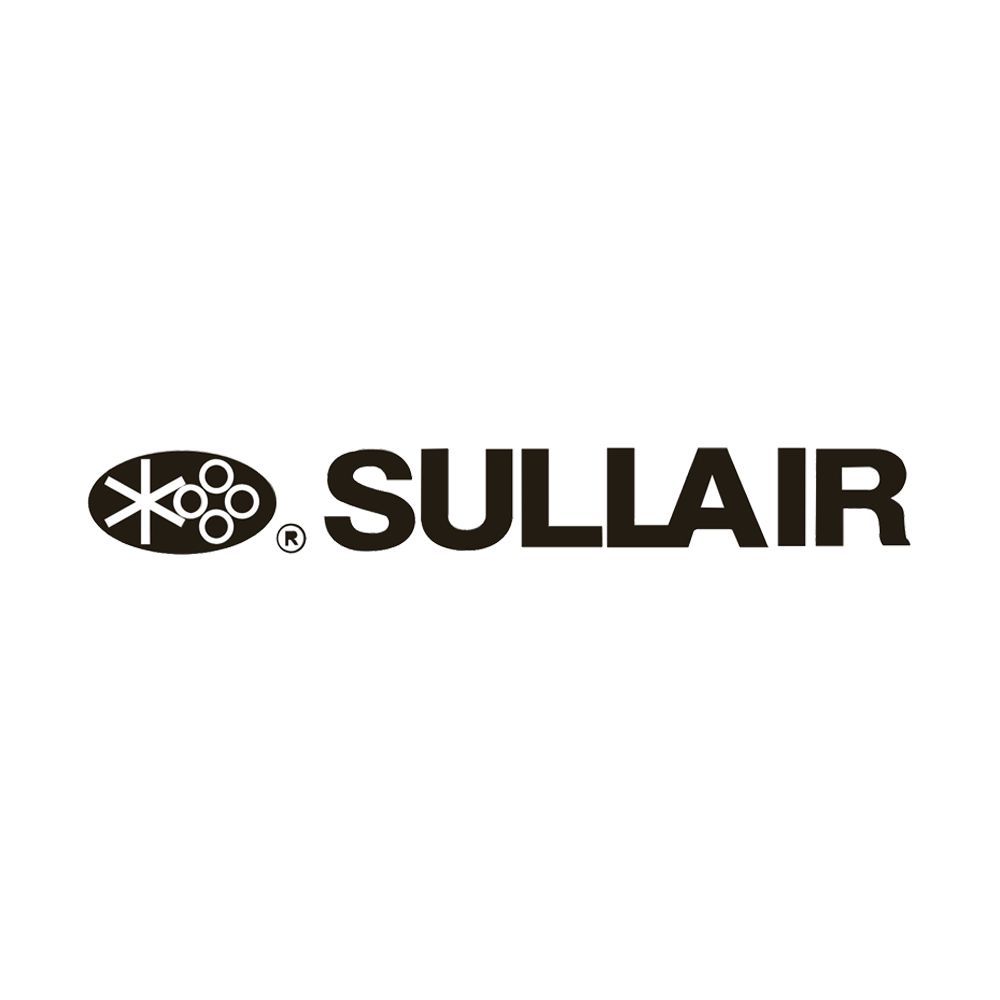 826202-248 O-ring 248 Neoprene, Sullair
